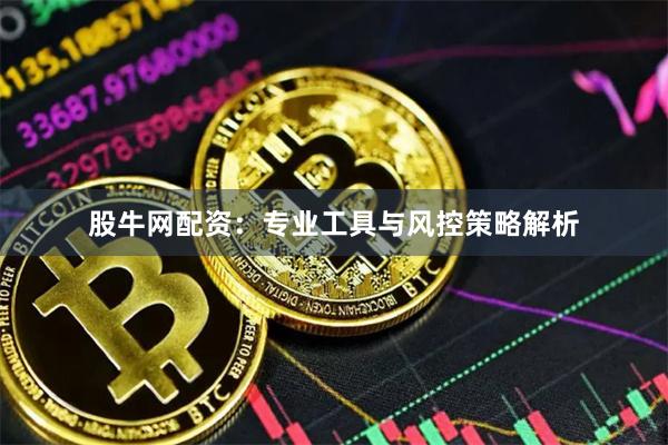 股牛网配资：专业工具与风控策略解析