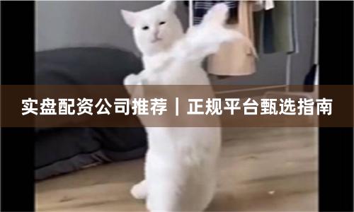 实盘配资公司推荐｜正规平台甄选指南
