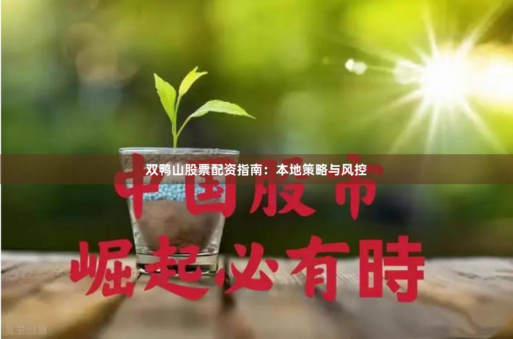 双鸭山股票配资指南：本地策略与风控